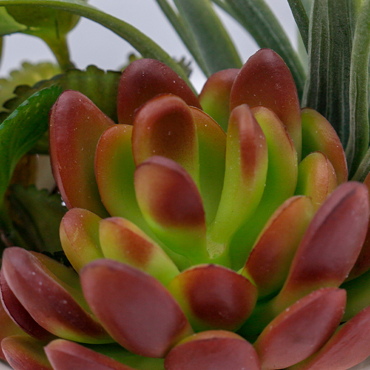 Hot-Sale-Mini-PVC-Succulents-Artificial-Succulent-Plants-Potted-Small-Topiary-Bonsai-Plant-for-Indoor-House-Decoration (4).jpg 